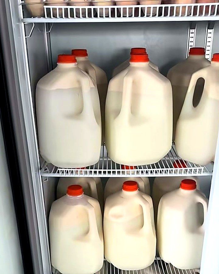 Gallons of milk in the cooler