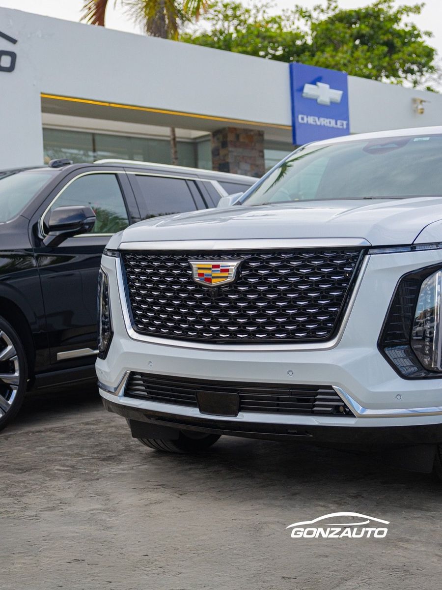 Vehicles at the Gonzauto dealership