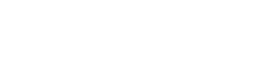 Gonzauto